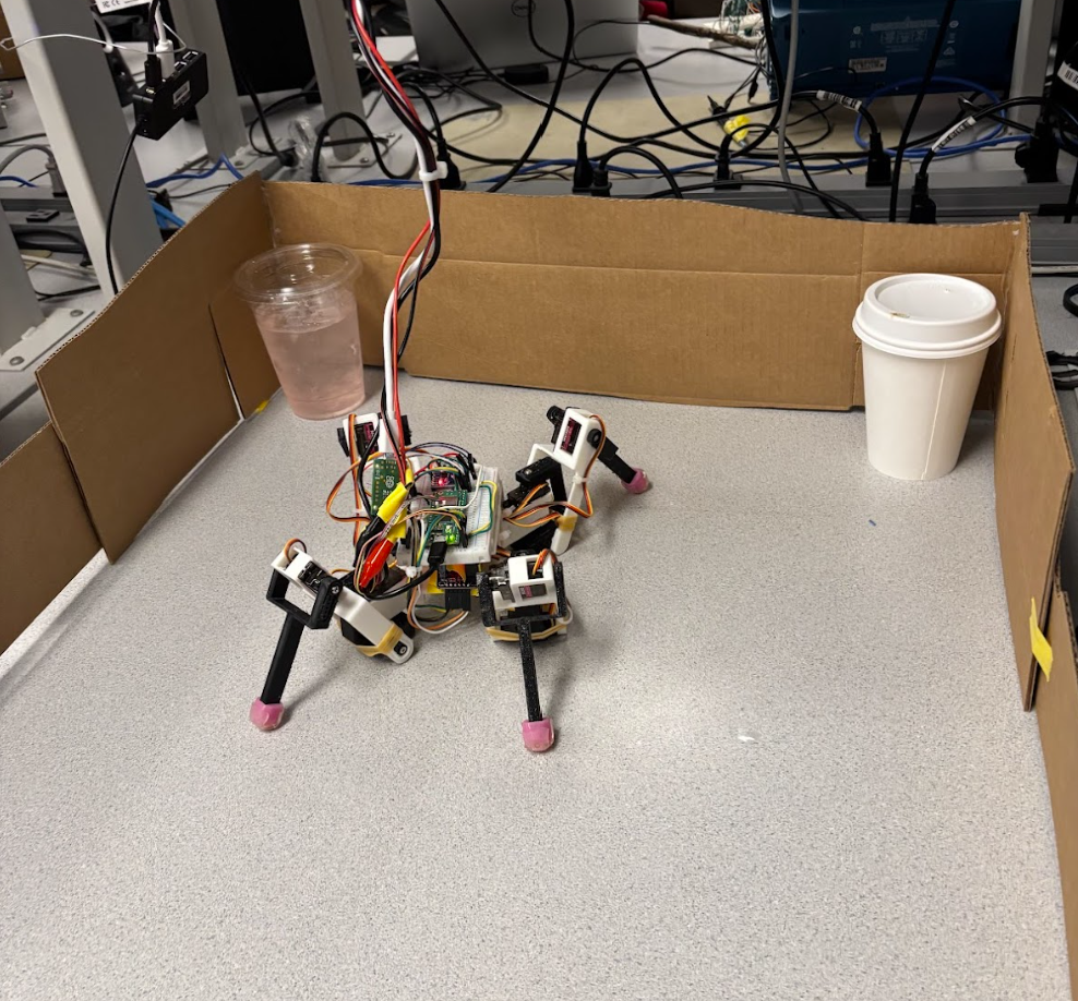 Physical Environment