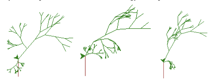 Three iterations of L-System animation in Python