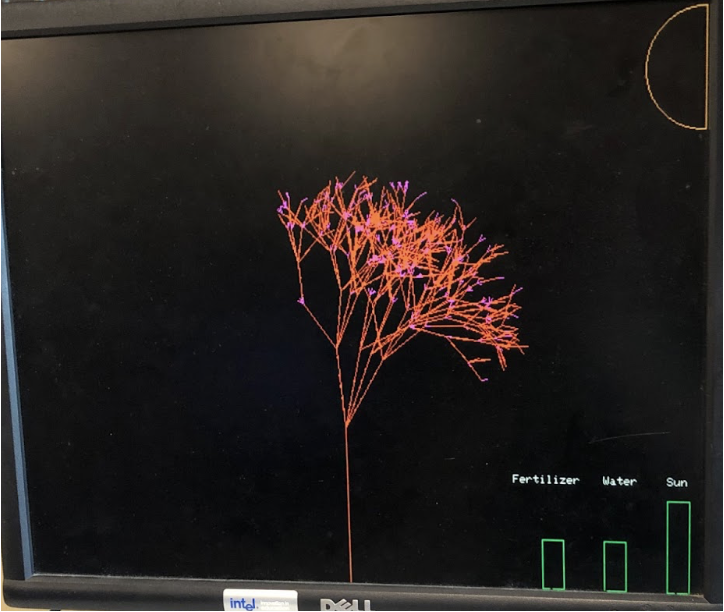 Tree with Left Tree Tilt, Maximum Sun Intensity to the Right, and Maximum Water