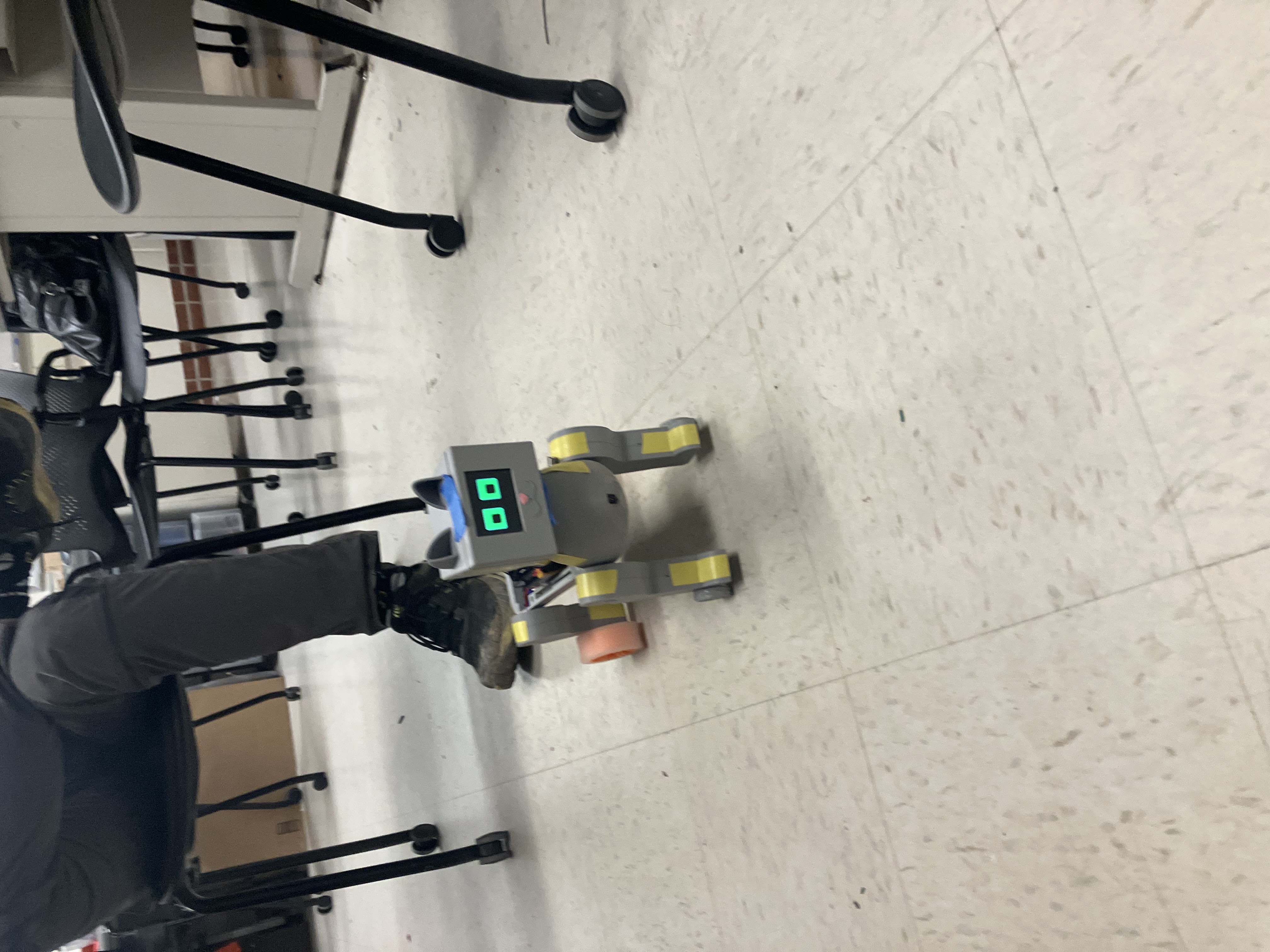 A Picture of the Cat Robot in Action!
